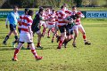 Monaghan 2nd XV Vs Randalstown, Foster Cup Q-Final - Feb 21st 2015 (15 of 25)